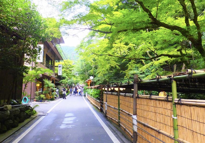 Renungan Musim Panas dari Gifu, Jepang